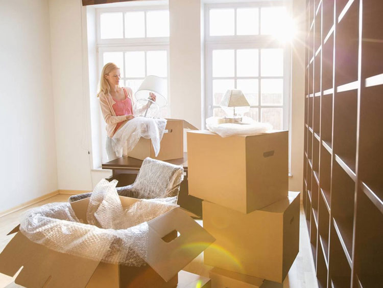 Packers And Movers For Household Items In Maharashtra